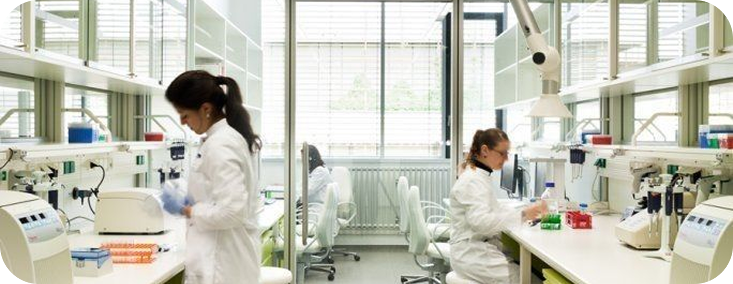 Контроль на этапах